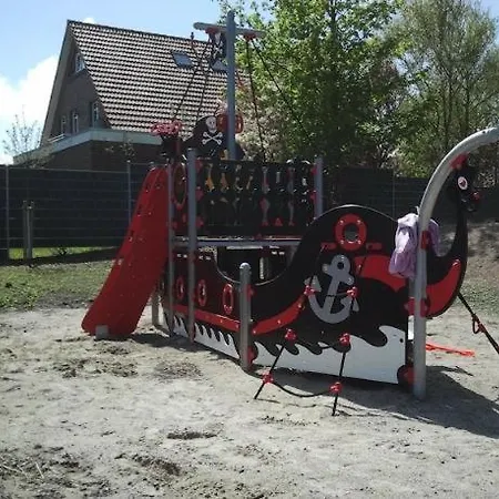 Inselzauber - Dünenveilchen