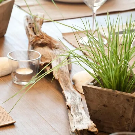 Inselzauber - Dünenveilchen *