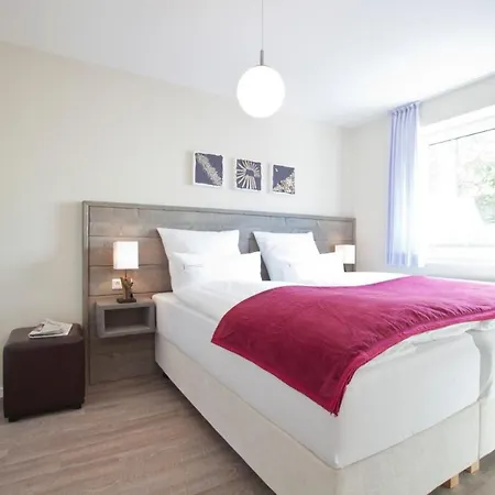 Inselzauber - Dünenveilchen Norderney