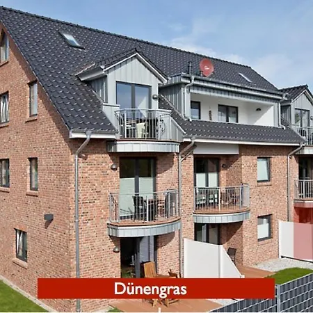 Inselzauber - Duenenveilchen *