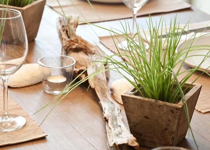 Inselzauber - Duenenveilchen *