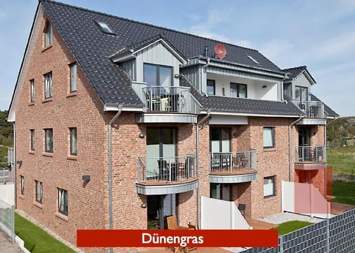 Inselzauber - Duenenveilchen *